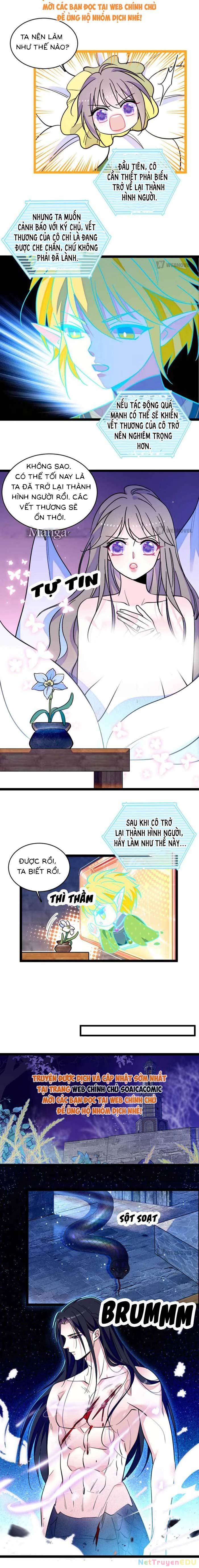 Manh Động Thú Thế Chapter 231 - Next Chapter 274
