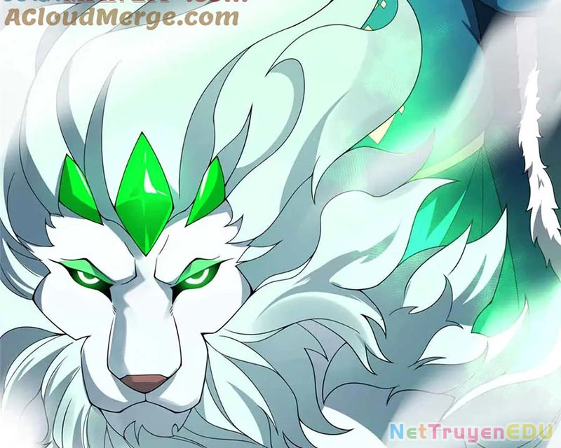 Thần Sủng Tiến Hóa Chapter 381 - Trang 4