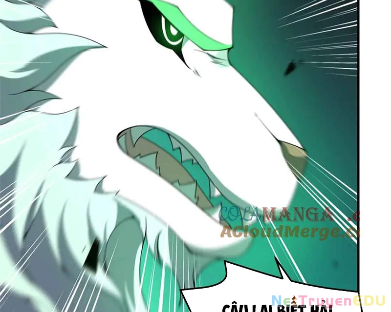 Thần Sủng Tiến Hóa Chapter 381 - Trang 4