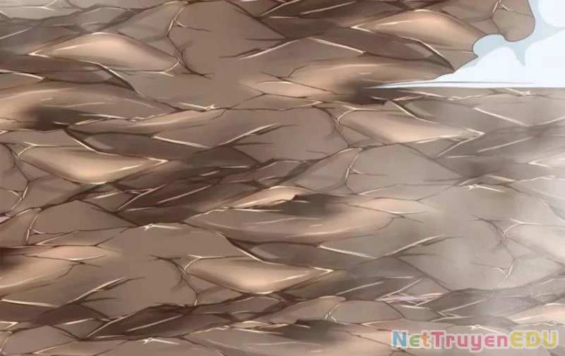 Đồ Đệ Của Ta Đều Là Đại Phản Phái Chapter 340 - Trang 4