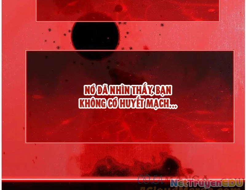 Mạt Nhật Thiên Hạ: Ta, Virus Quân Vương Chapter 52 - Trang 4