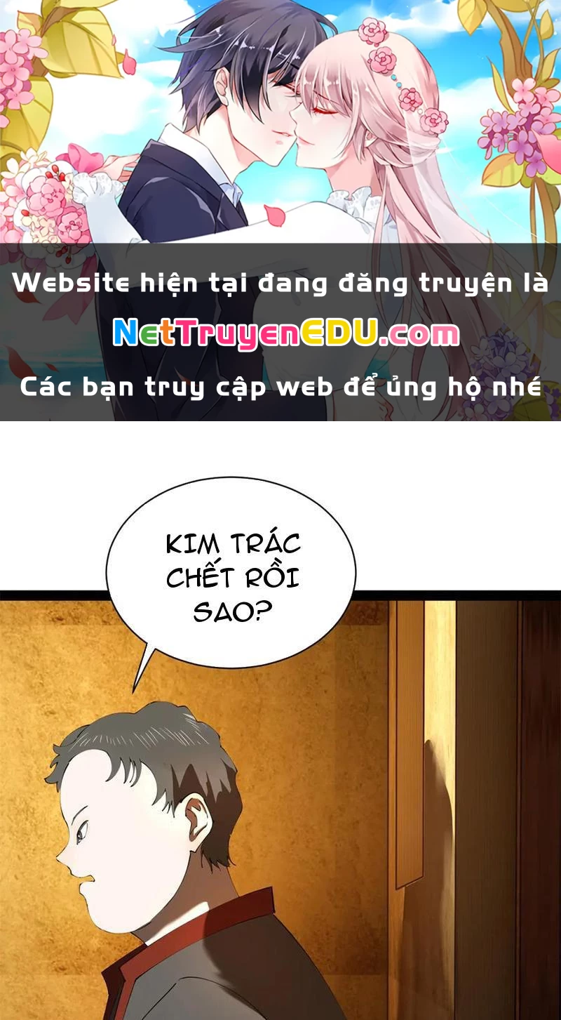 Chàng Rể Mạnh Nhất Lịch Sử Chapter 270 - Trang 4