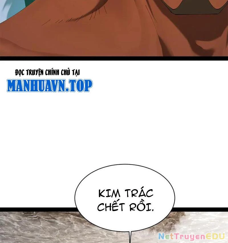 Chàng Rể Mạnh Nhất Lịch Sử Chapter 270 - Trang 4