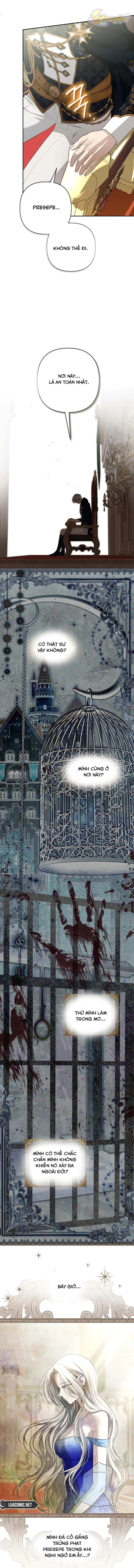 Presepe Bên Ngoài Chiếc Lồng Chapter 14 - Trang 3