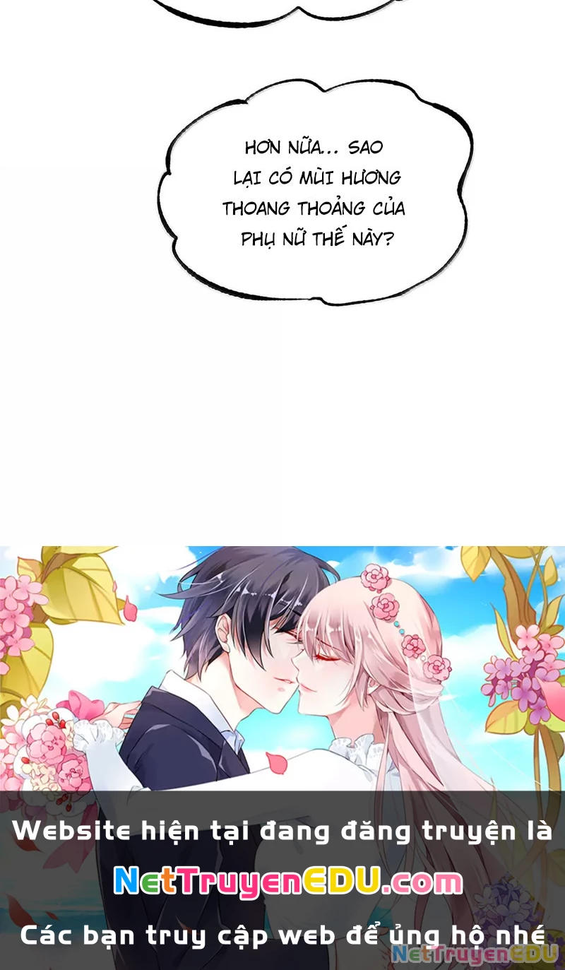 Vạn Cổ Tối Cường Tông Chapter 397 - Trang 4