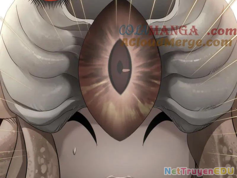 Cao Đẳng Linh Hồn Chapter 316 - Trang 4
