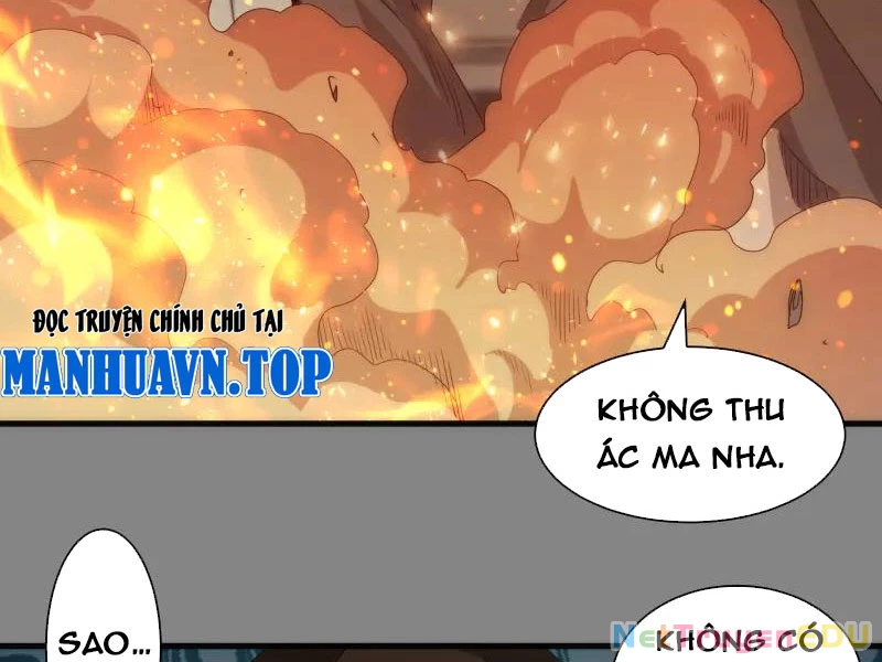 Cao Đẳng Linh Hồn Chapter 317 - Trang 4
