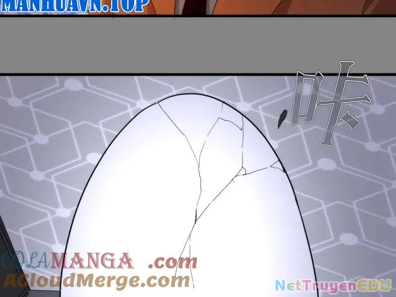 Cao Đẳng Linh Hồn Chapter 317 - Trang 4