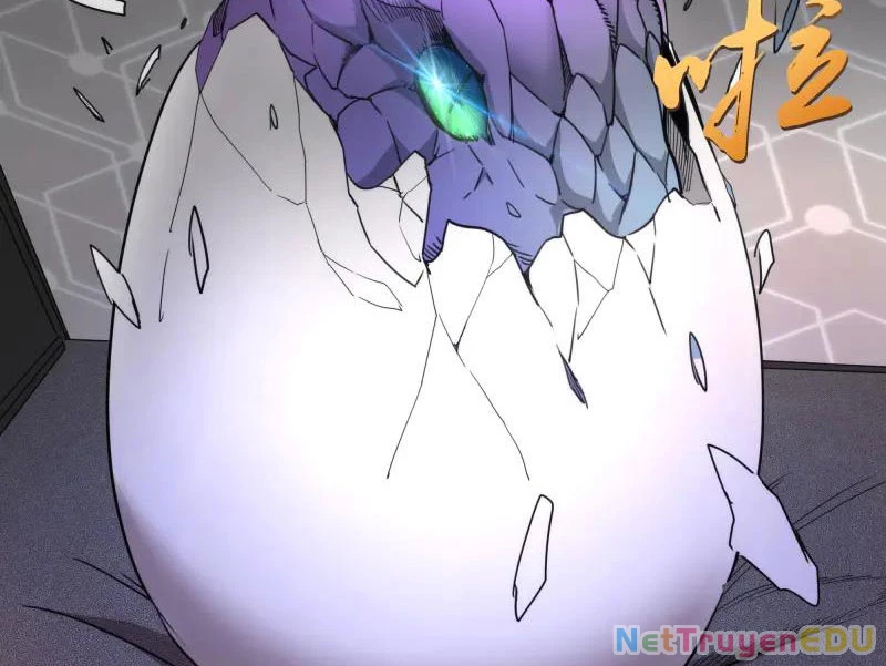 Cao Đẳng Linh Hồn Chapter 317 - Trang 4