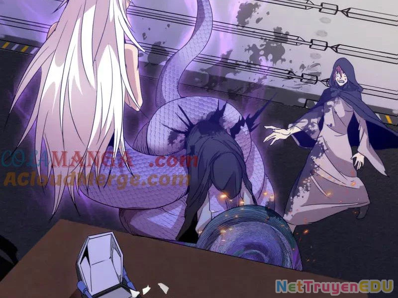 Cao Đẳng Linh Hồn Chapter 317 - Trang 4