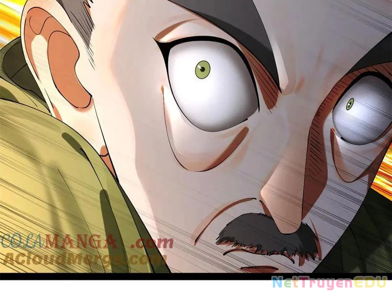 Chàng Rể Mạnh Nhất Lịch Sử Chapter 271 - Trang 4