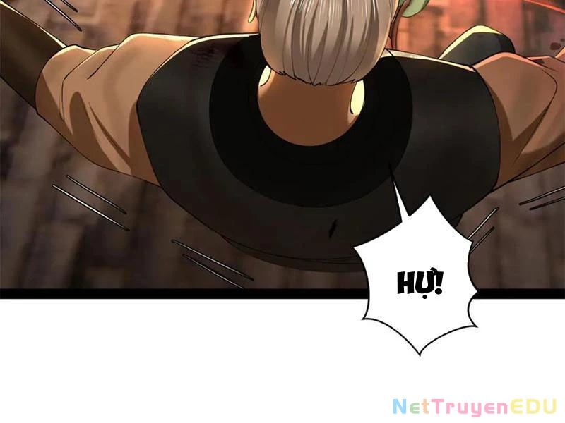 Chàng Rể Mạnh Nhất Lịch Sử Chapter 271 - Trang 4