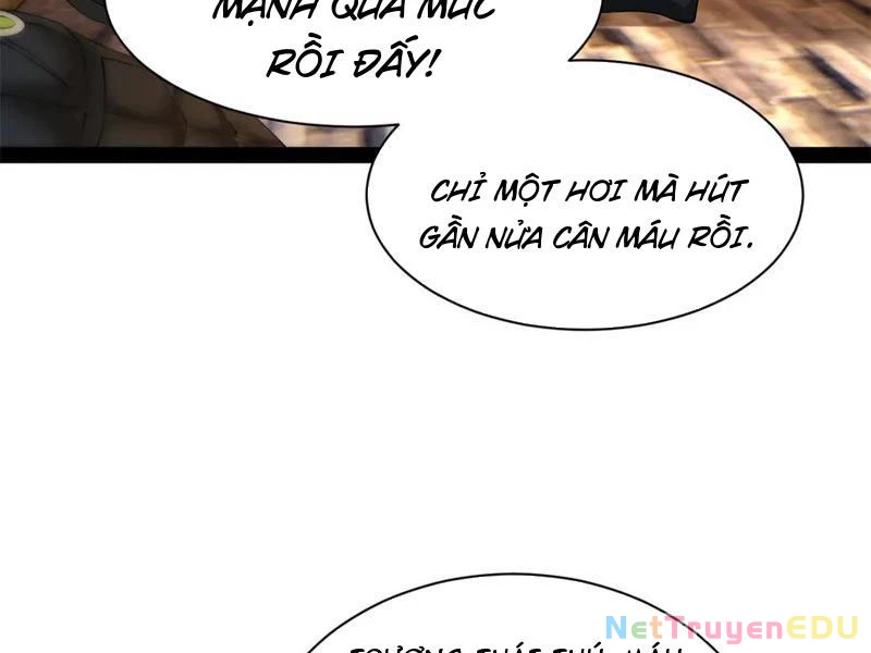 Chàng Rể Mạnh Nhất Lịch Sử Chapter 271 - Trang 4