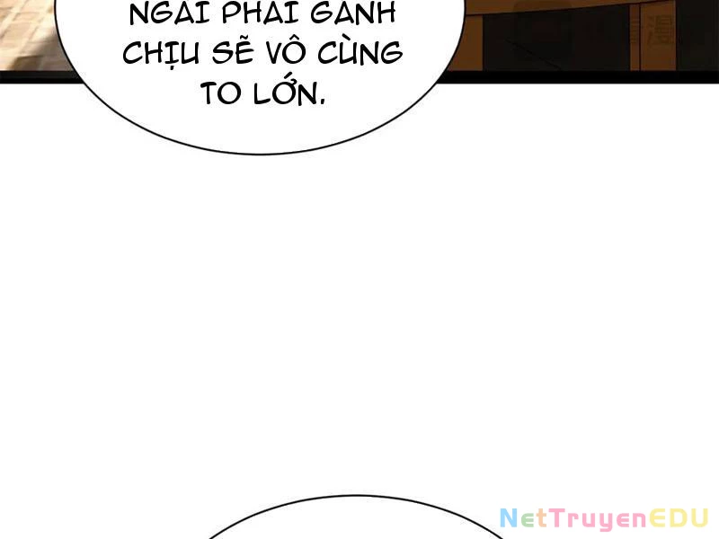 Chàng Rể Mạnh Nhất Lịch Sử Chapter 271 - Trang 4