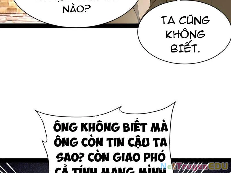 Chàng Rể Mạnh Nhất Lịch Sử Chapter 271 - Trang 4
