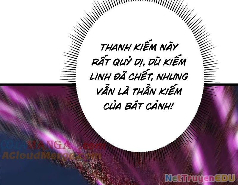 Chưởng Môn Khiêm Tốn Chút Chapter 470 - Trang 4
