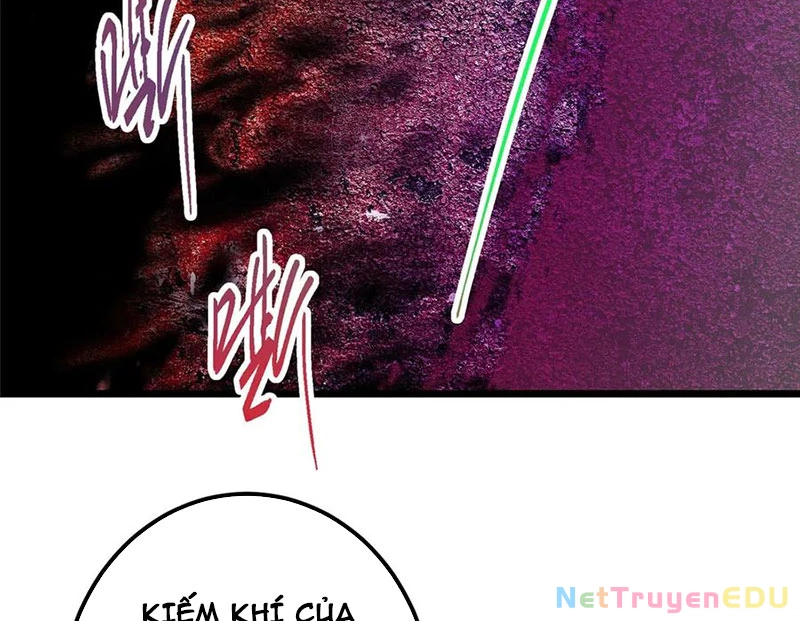 Chưởng Môn Khiêm Tốn Chút Chapter 470 - Trang 4
