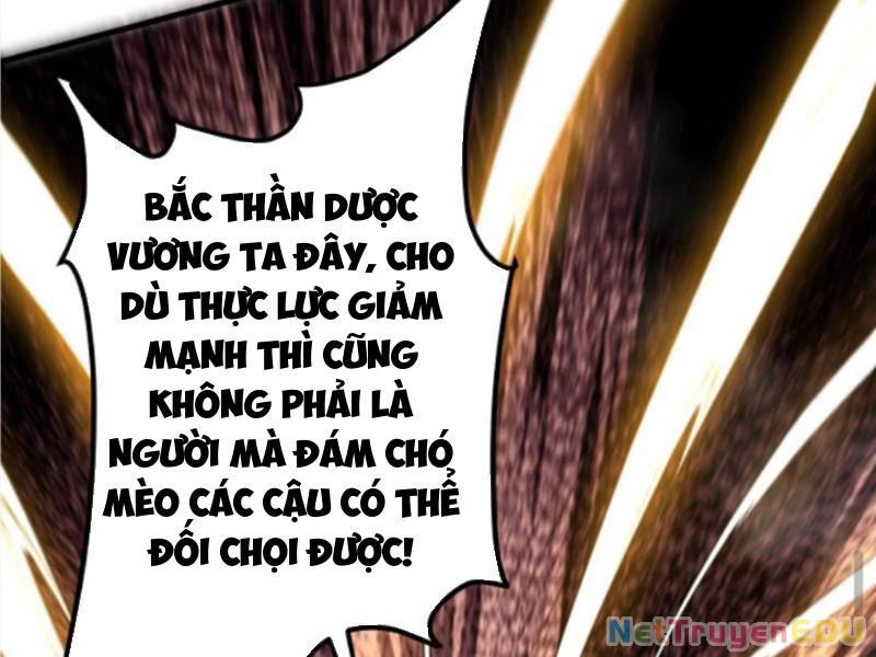 Ta Có 90 Tỷ Tiền Liếm Cẩu! Chapter 503 - Trang 4
