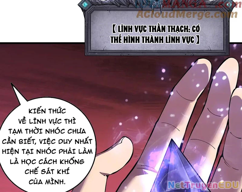 Thảm Họa Tử Linh Sư Chapter 156 - Trang 4