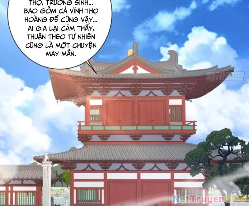 Đồ Đệ Của Ta Đều Là Đại Phản Phái Chapter 341 - Trang 4