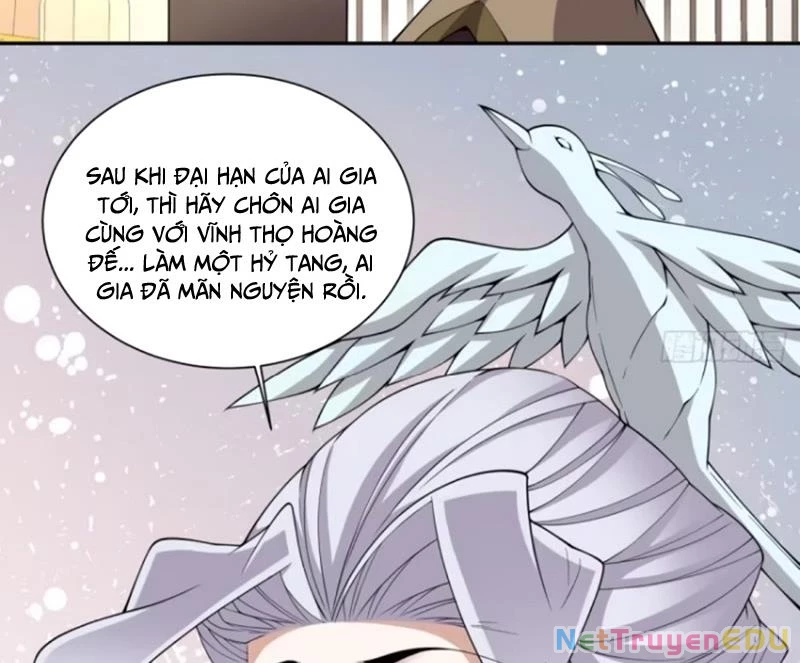 Đồ Đệ Của Ta Đều Là Đại Phản Phái Chapter 341 - Trang 4