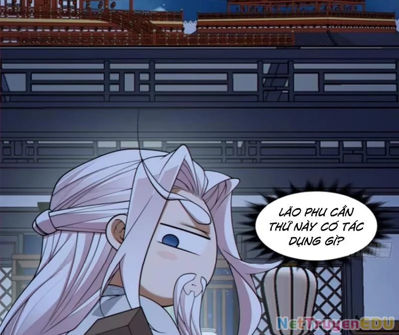 Đồ Đệ Của Ta Đều Là Đại Phản Phái Chapter 341 - Trang 4