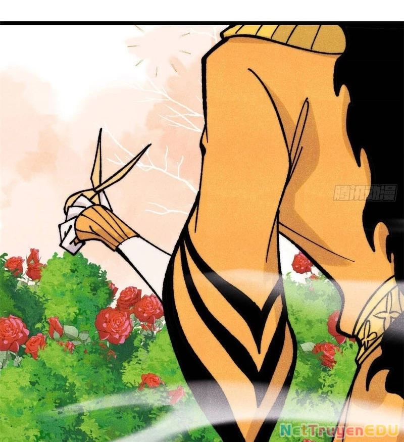 Vạn Cổ Tối Cường Tông Chapter 398 - Trang 4