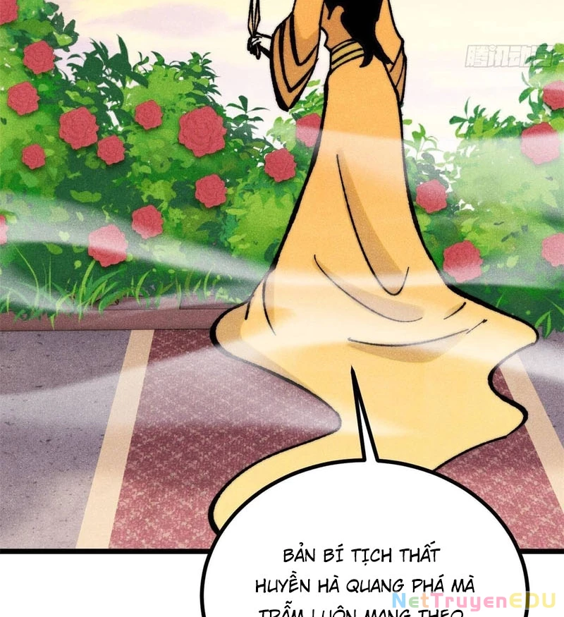 Vạn Cổ Tối Cường Tông Chapter 398 - Trang 4