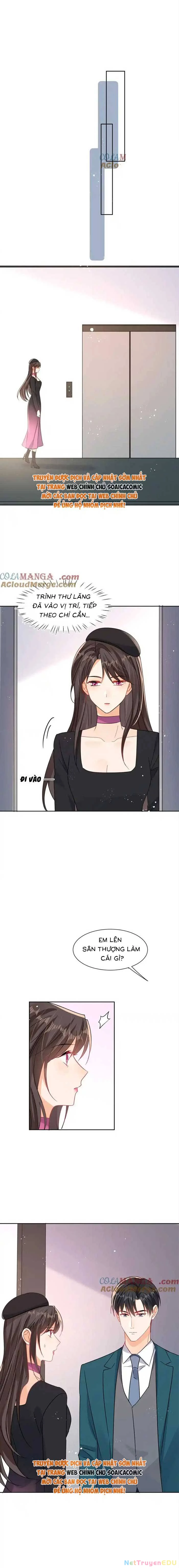 Cùng Lục Gia Yêu Đương Vụng Trộm Chapter 113 - Trang 4