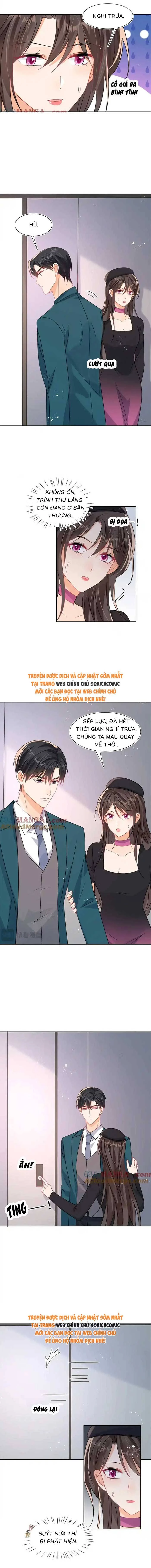Cùng Lục Gia Yêu Đương Vụng Trộm Chapter 113 - Trang 4