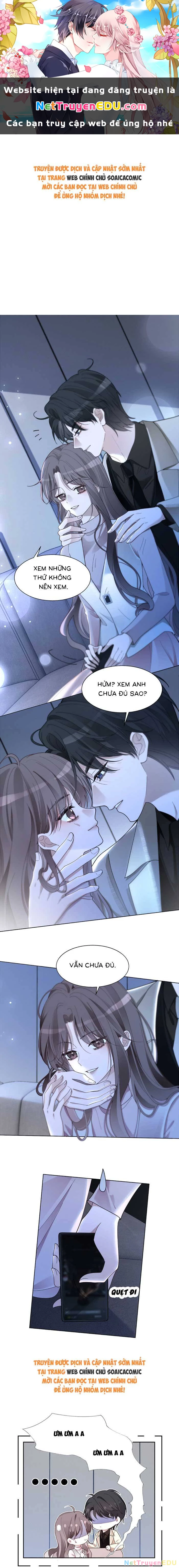 Được Các Anh Trai Chiều Chuộng Tôi Trở Nên Ngang Tàng Chapter 328 - Trang 4