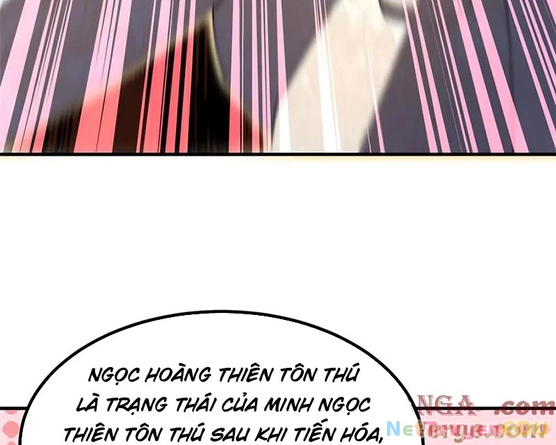 Thần Sủng Tiến Hóa Chapter 382 - Trang 4