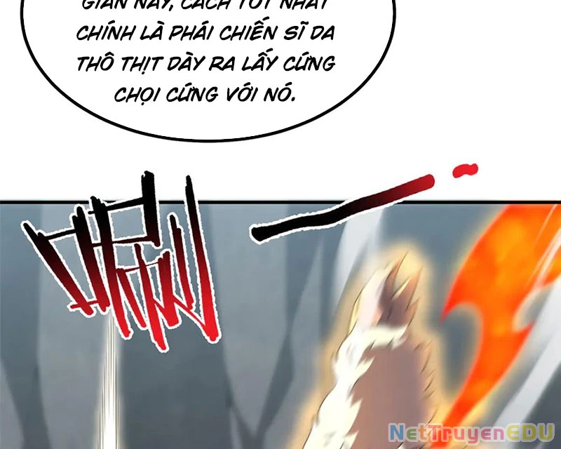Thần Sủng Tiến Hóa Chapter 382 - Trang 4
