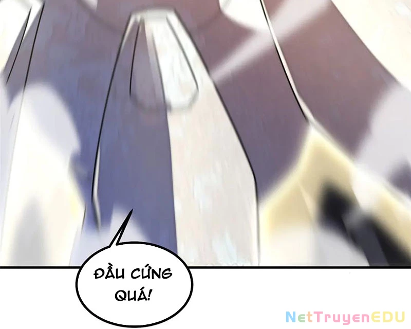 Thần Sủng Tiến Hóa Chapter 382 - Trang 4