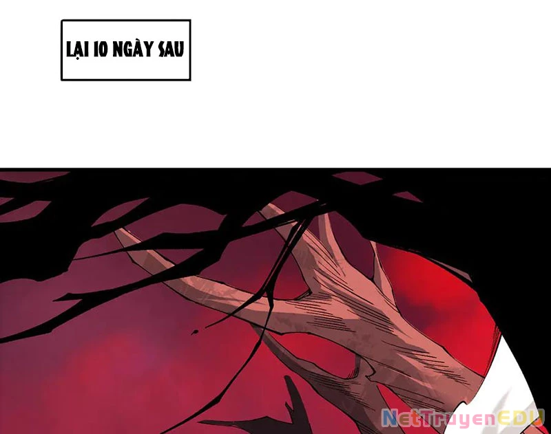 Thảm Họa Tử Linh Sư Chapter 157 - Trang 4