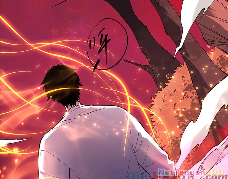 Thảm Họa Tử Linh Sư Chapter 157 - Trang 4