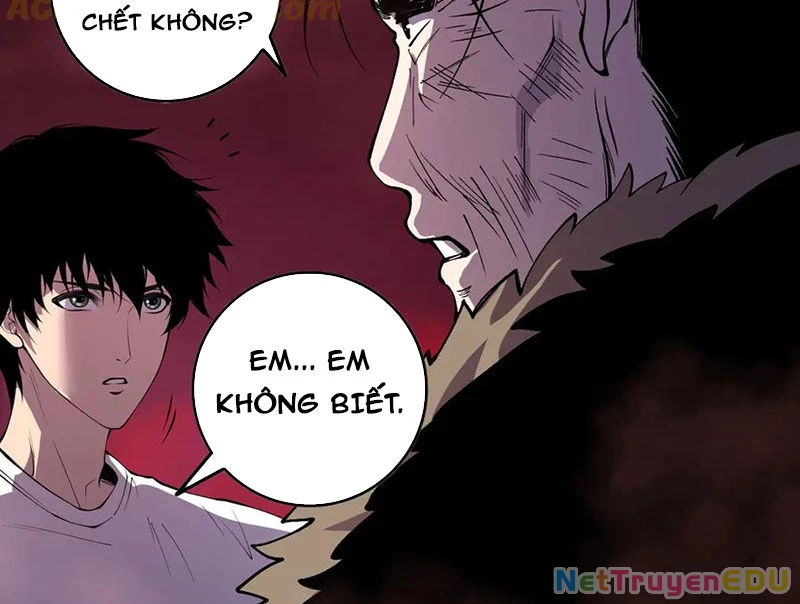 Thảm Họa Tử Linh Sư Chapter 157 - Trang 4