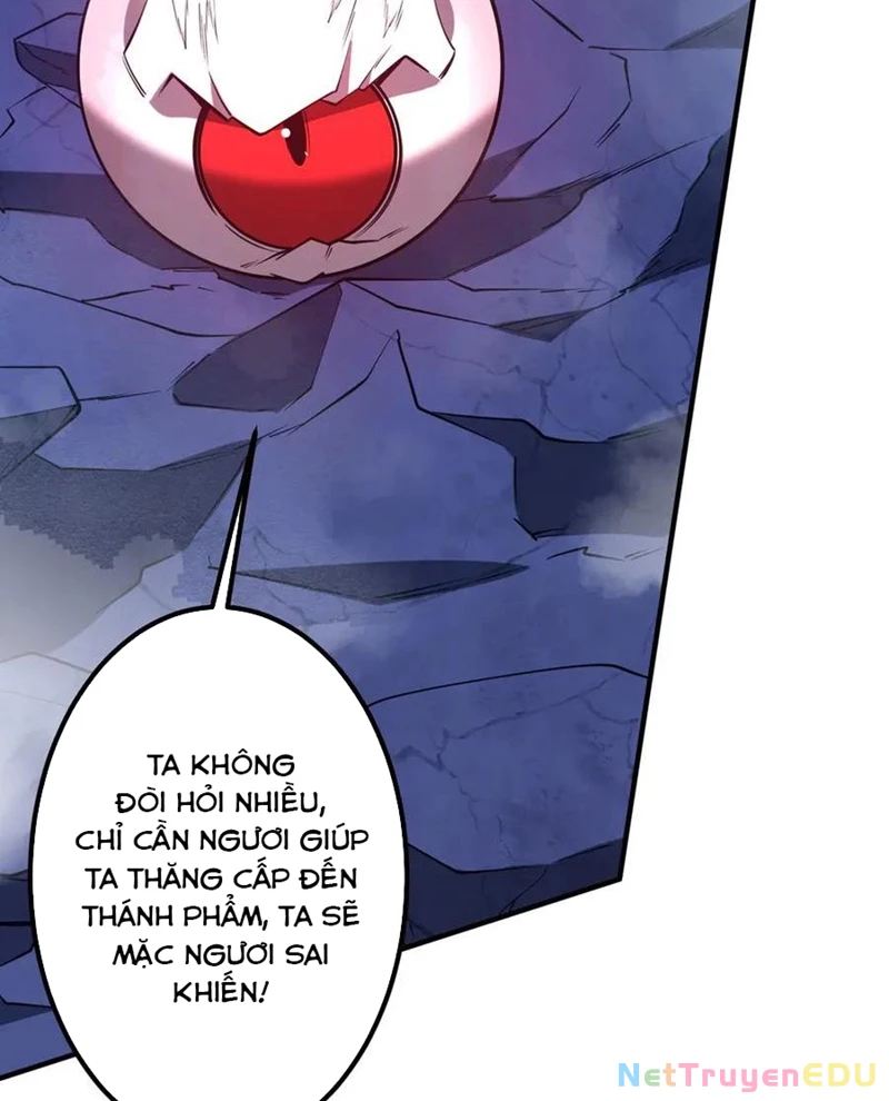 Bắt Đầu Với Trăm Vạn Minh Tệ Chapter 217 - Trang 4