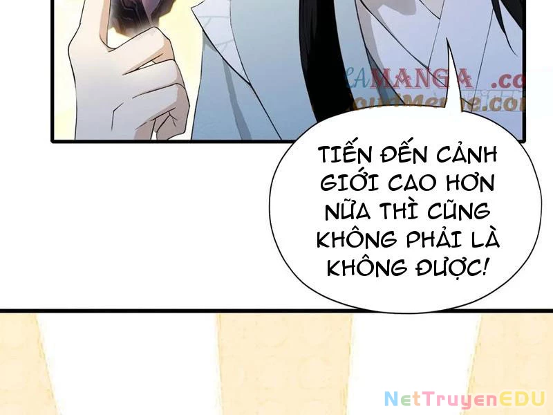 Hoá Ra Ta Đã Vô Địch Từ Lâu Chapter 255 - Trang 4