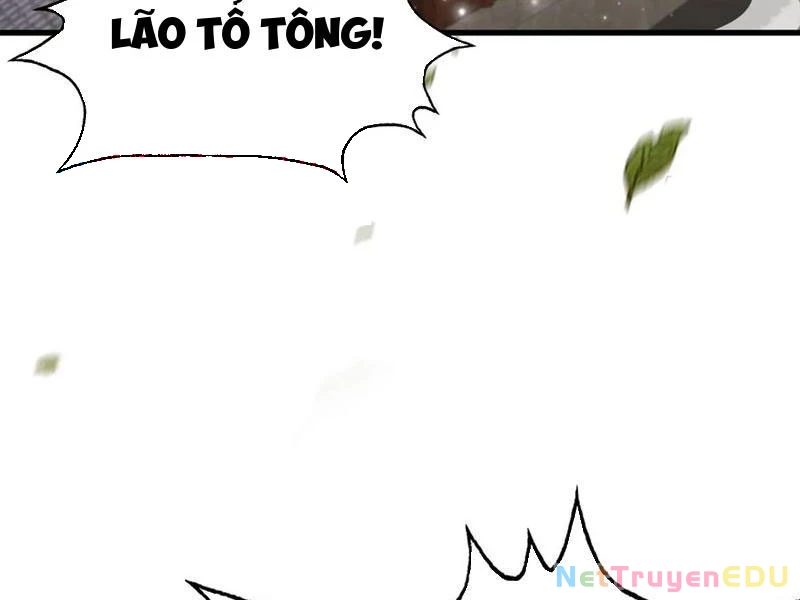 Hoá Ra Ta Đã Vô Địch Từ Lâu Chapter 255 - Trang 4