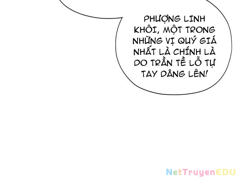Hoá Ra Ta Đã Vô Địch Từ Lâu Chapter 255 - Trang 4