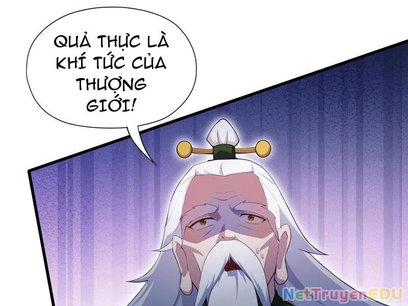 Hoá Ra Ta Đã Vô Địch Từ Lâu Chapter 255 - Trang 4