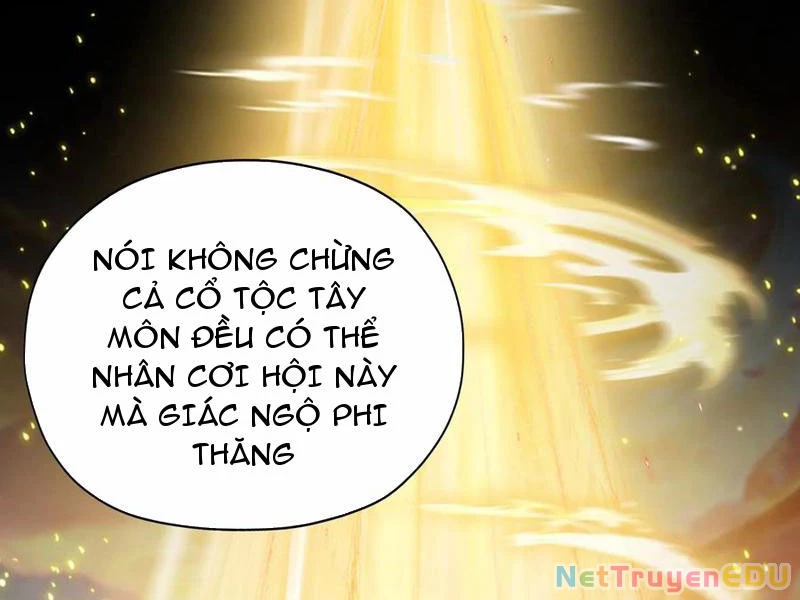 Hoá Ra Ta Đã Vô Địch Từ Lâu Chapter 255 - Trang 4