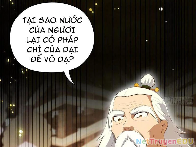 Hoá Ra Ta Đã Vô Địch Từ Lâu Chapter 255 - Trang 4