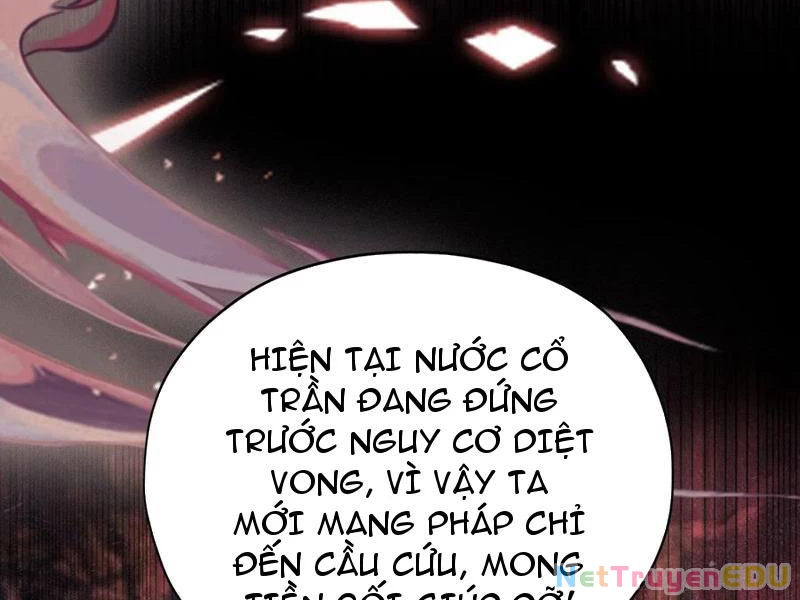 Hoá Ra Ta Đã Vô Địch Từ Lâu Chapter 255 - Trang 4