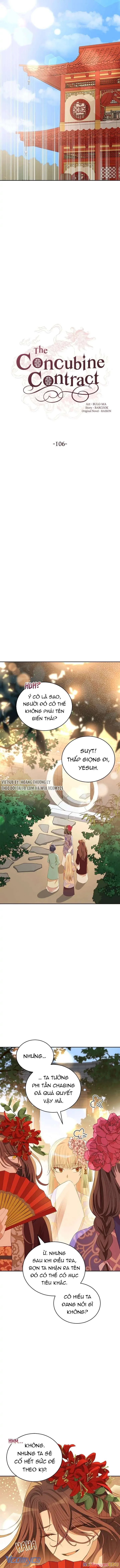 Ái Phi, Dao Của Nàng Rơi Rồi Chapter 106 - Trang 4