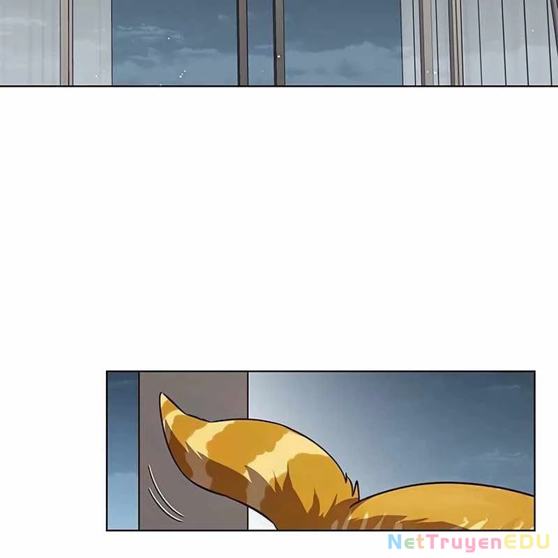 Hoá Thân Thành Mèo Chapter 338 - Trang 4