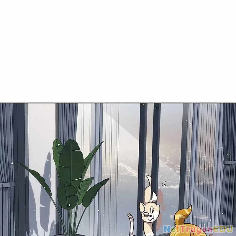 Hoá Thân Thành Mèo Chapter 338 - Trang 4