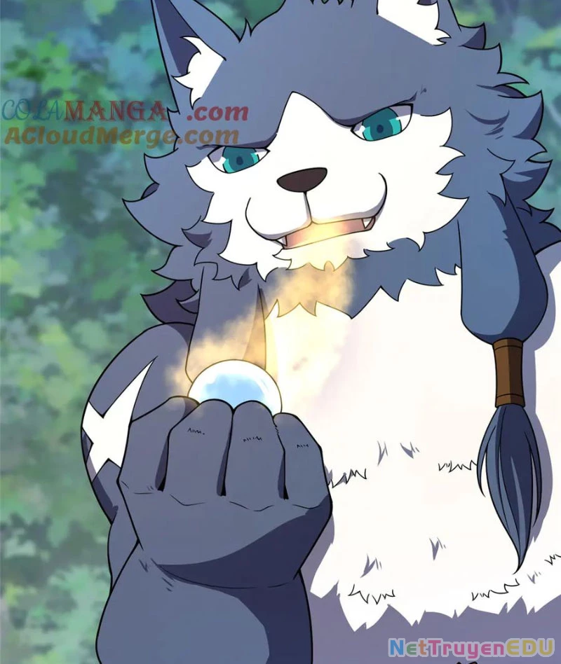 Thần Sủng Tiến Hóa Chapter 383 - Trang 4