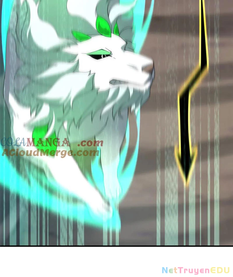 Thần Sủng Tiến Hóa Chapter 383 - Trang 4